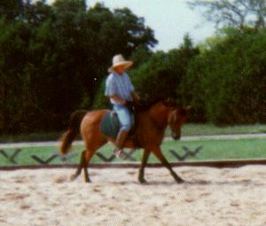 cantering in the arena