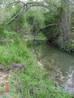 creek section