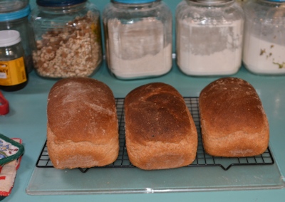 3 loaves brown bread